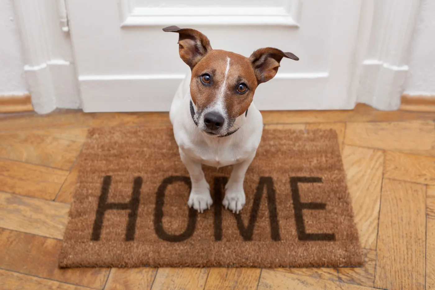 Reverse Mortgage for Purchase – A new tool for retirement
