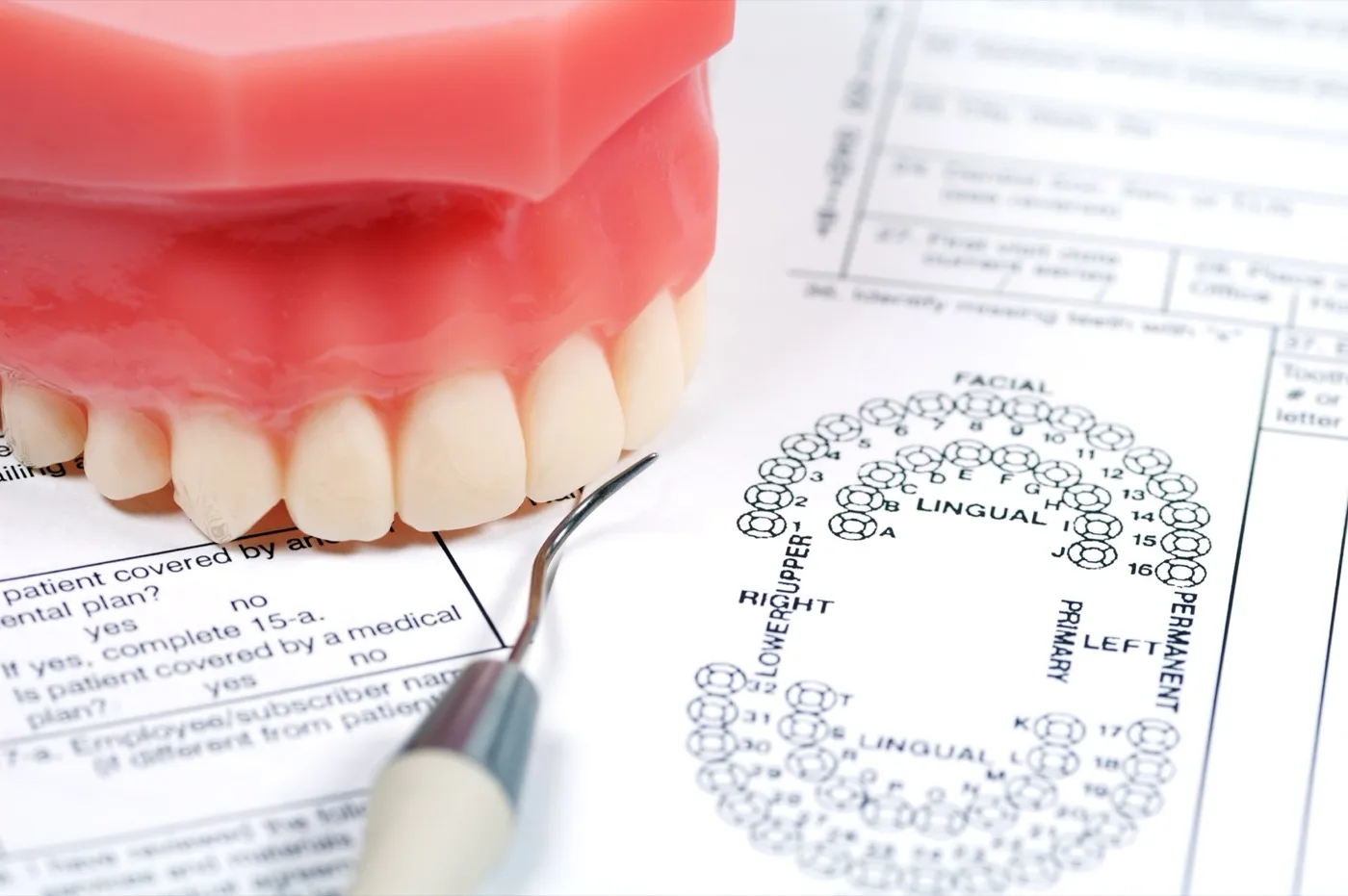 Helping Seniors Afford Dental Care